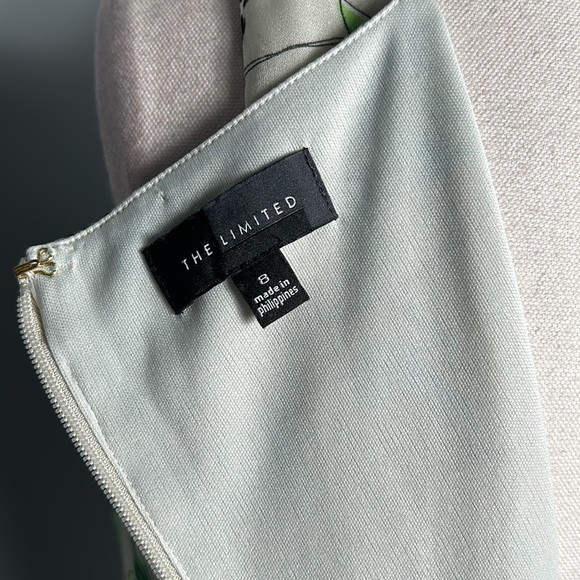 The Limited A-line Chiffon dress Light Lime Green with Leave and Bird Print sz 8 - Picture 11 of 13